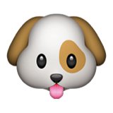 Dog Face