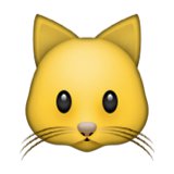 Cat Face