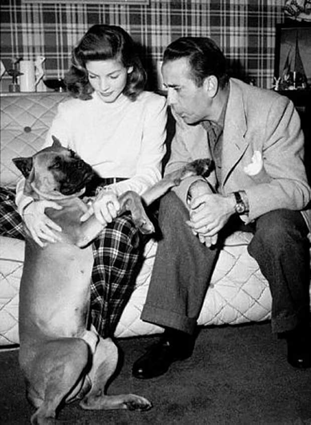 10 candid photos of Old Hollywood stars and their dogs | OverSixty