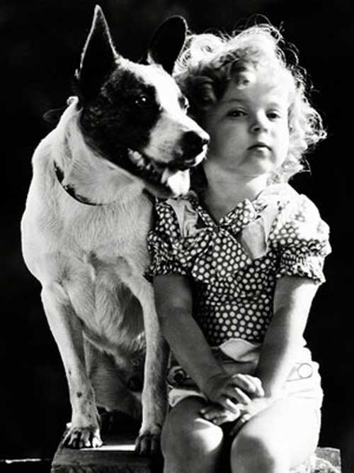 10 candid photos of Old Hollywood stars and their dogs | OverSixty