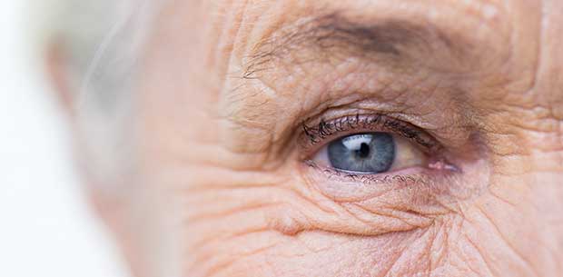 Foods for maintaining healthy eyes