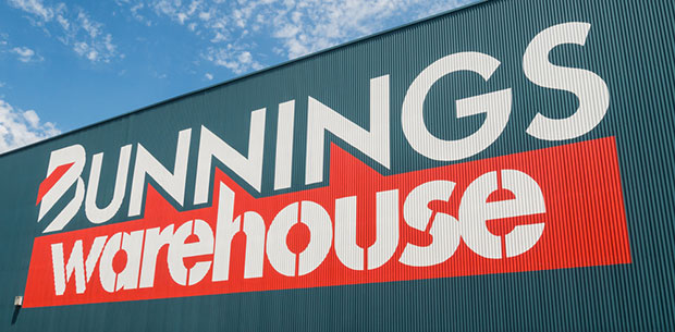 Bunnings $2 Christmas hack goes viral