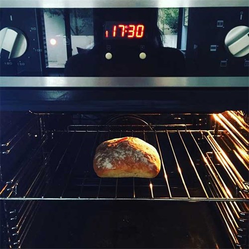 bun in oven
