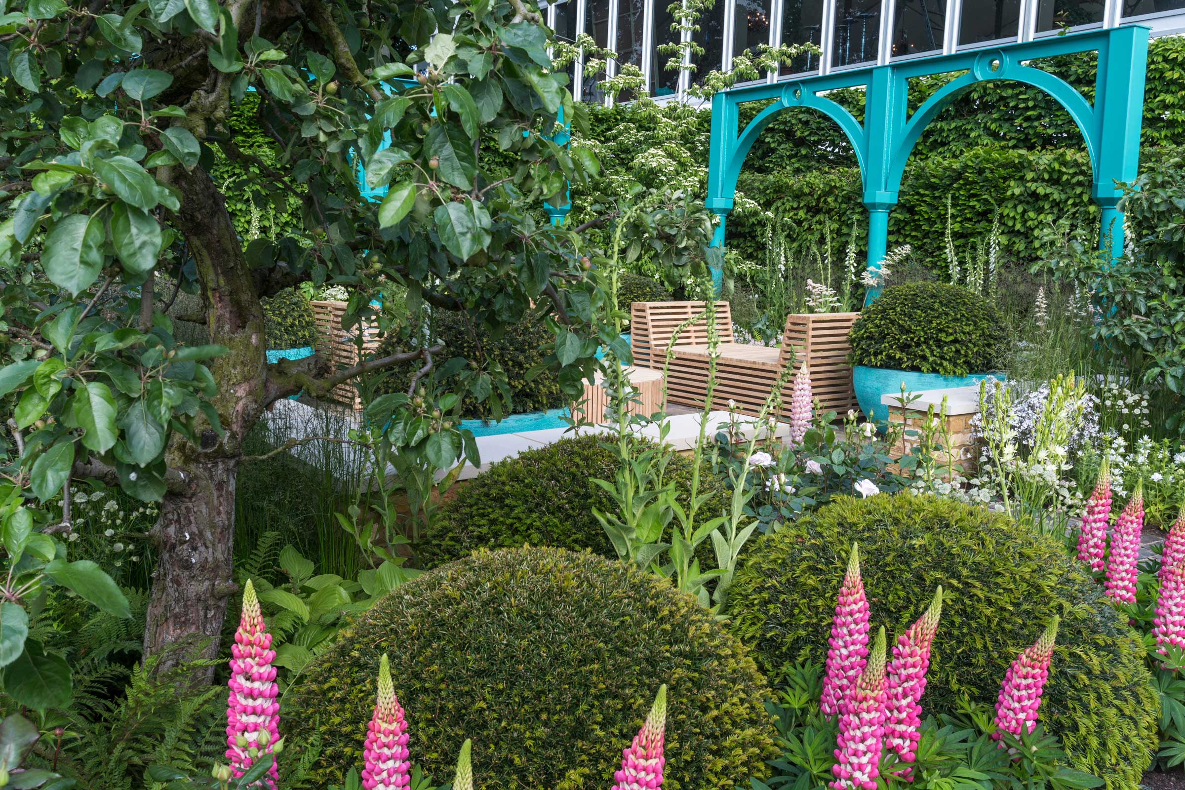 Top 5 gardens from Chelsea Flower Show OverSixty