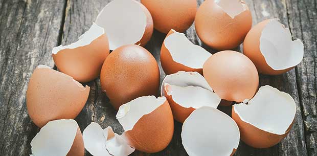 8 ways to use eggshells