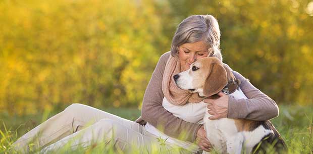 6 ways to boost your pup’s wellbeing