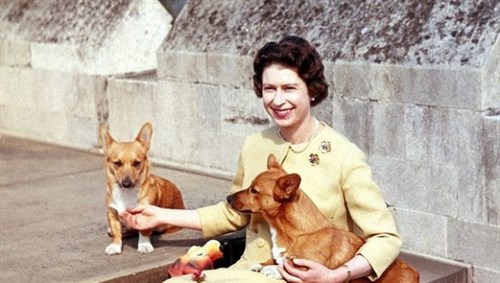 In Text Queen