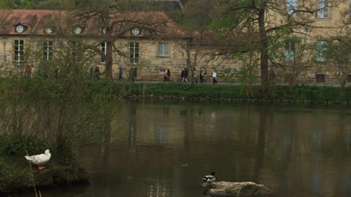 In Text 1 (14)