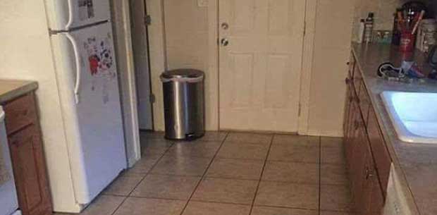 Can you find the dog in this kitchen?