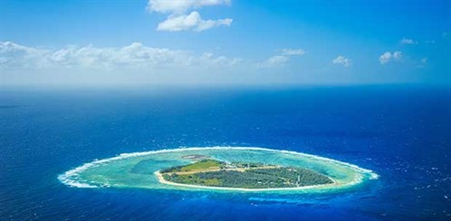 Image_ (416)