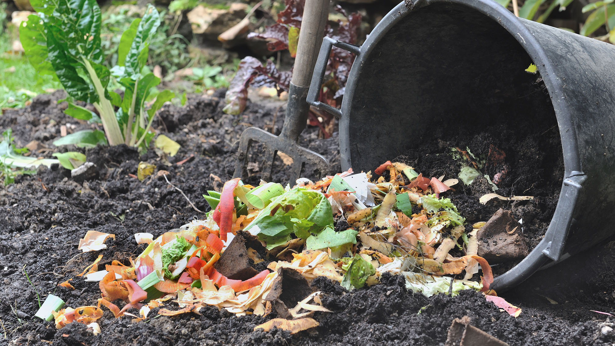 Make your own portable compost bin | OverSixty