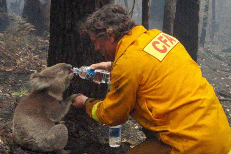 7 of the most moving photographs ever taken