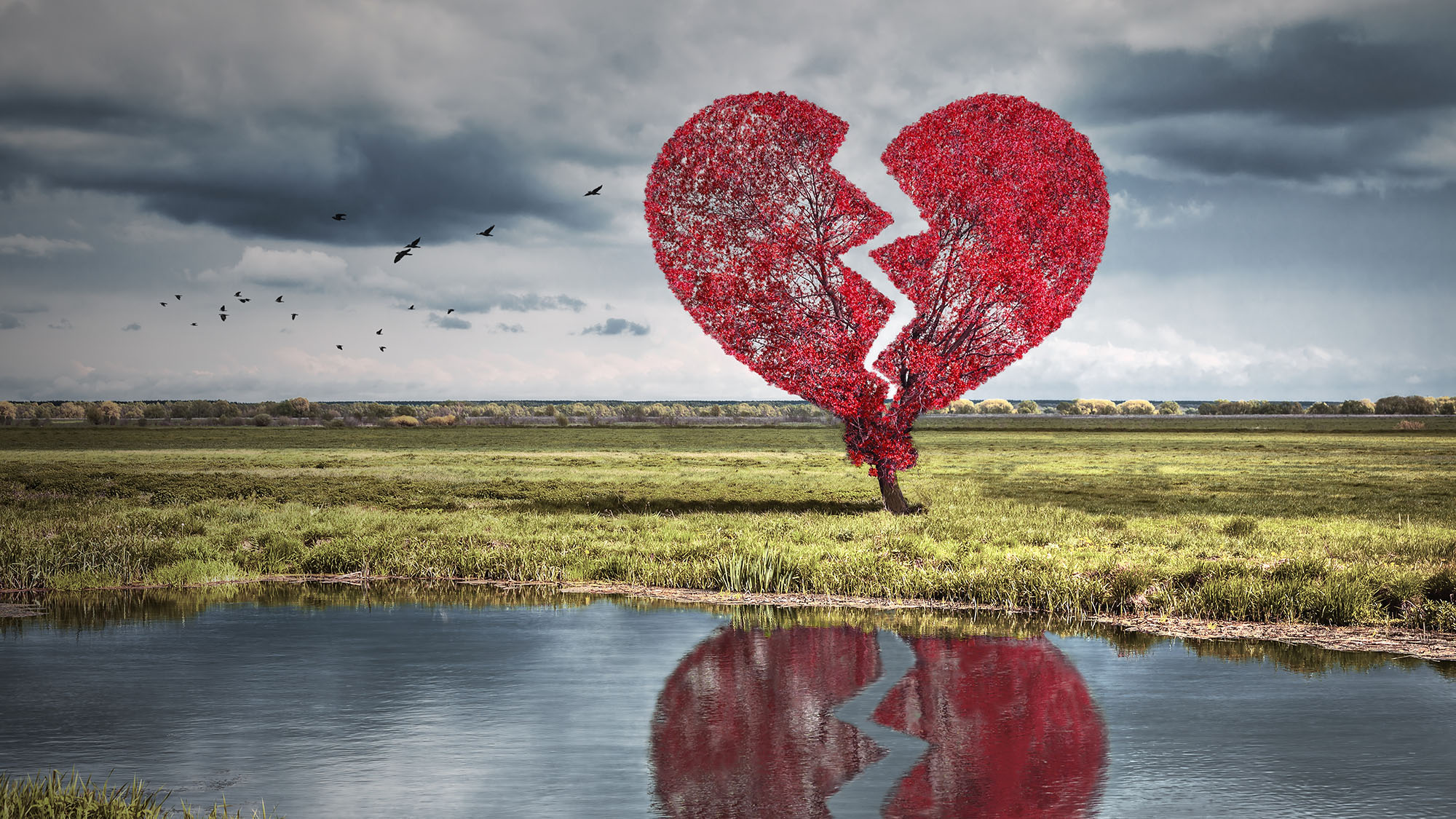 Tips on healing from heartbreak OverSixty