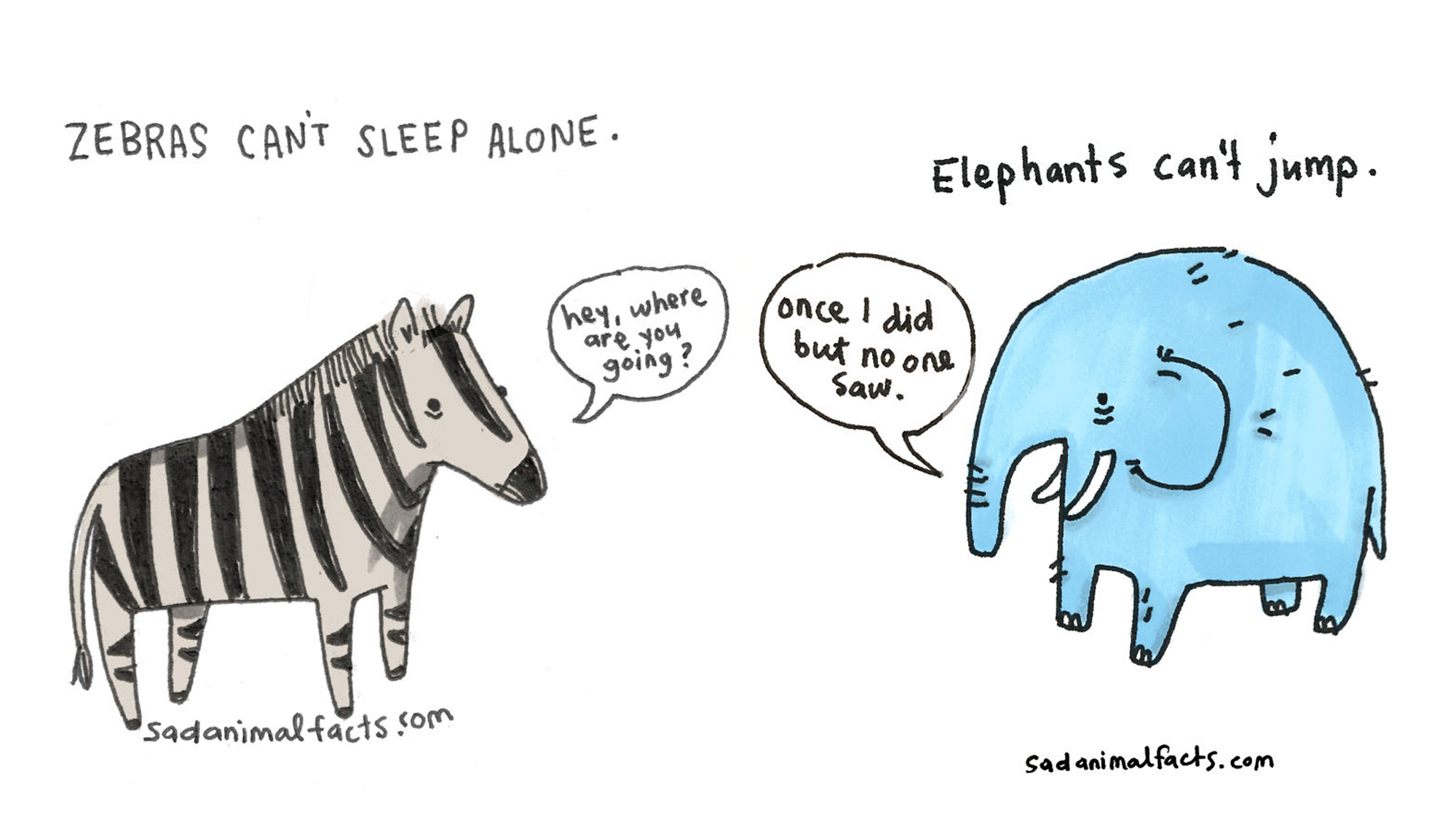 These sad animal facts are illustrated in the cutest way OverSixty