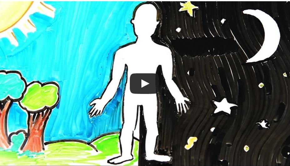 Here’s what happens to your body over the course of a day