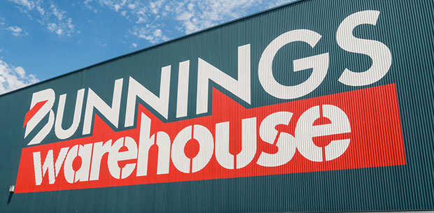 Woman sues Bunnings for $500,000 after she was "crushed" 