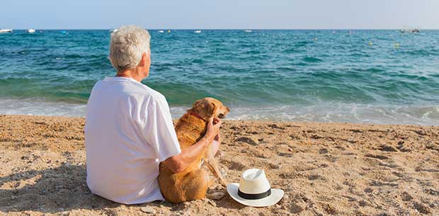 Should you put your pet in your will?