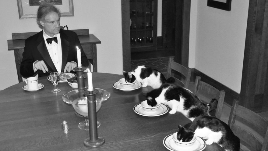 This man has formal dinners with his cats when his wife is away