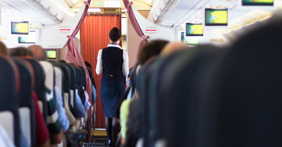 Flight attendant’s tragic mistake leads to dog’s death