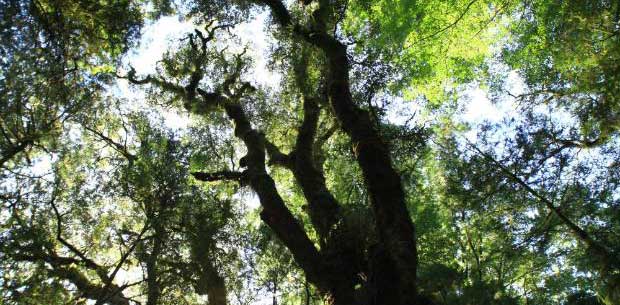 Why Fiordland National Park is a must-visit