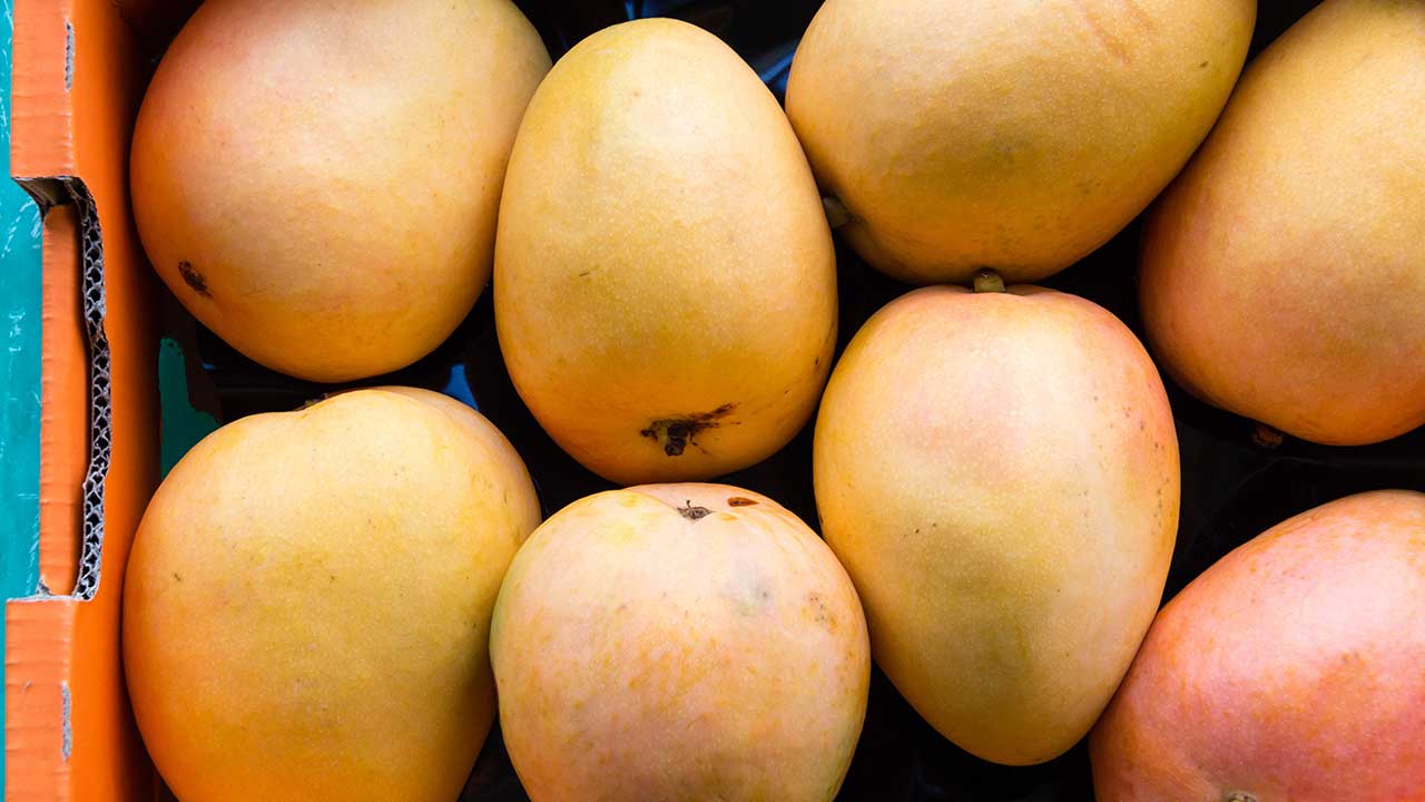 Coles customer finds needle in mango | OverSixty