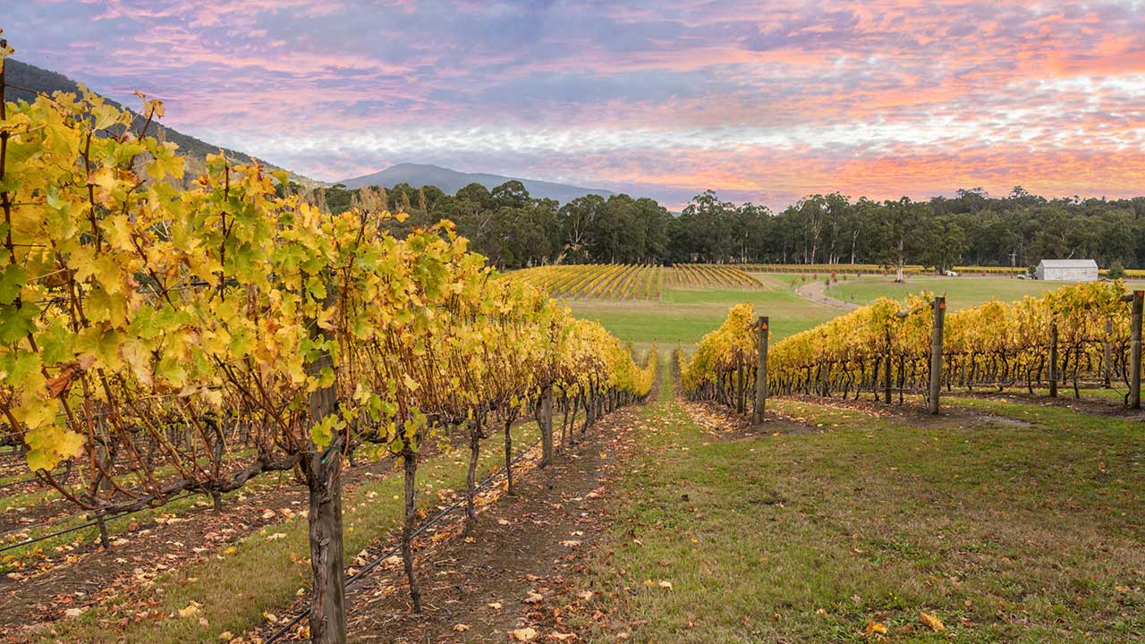 visit the yarra valley