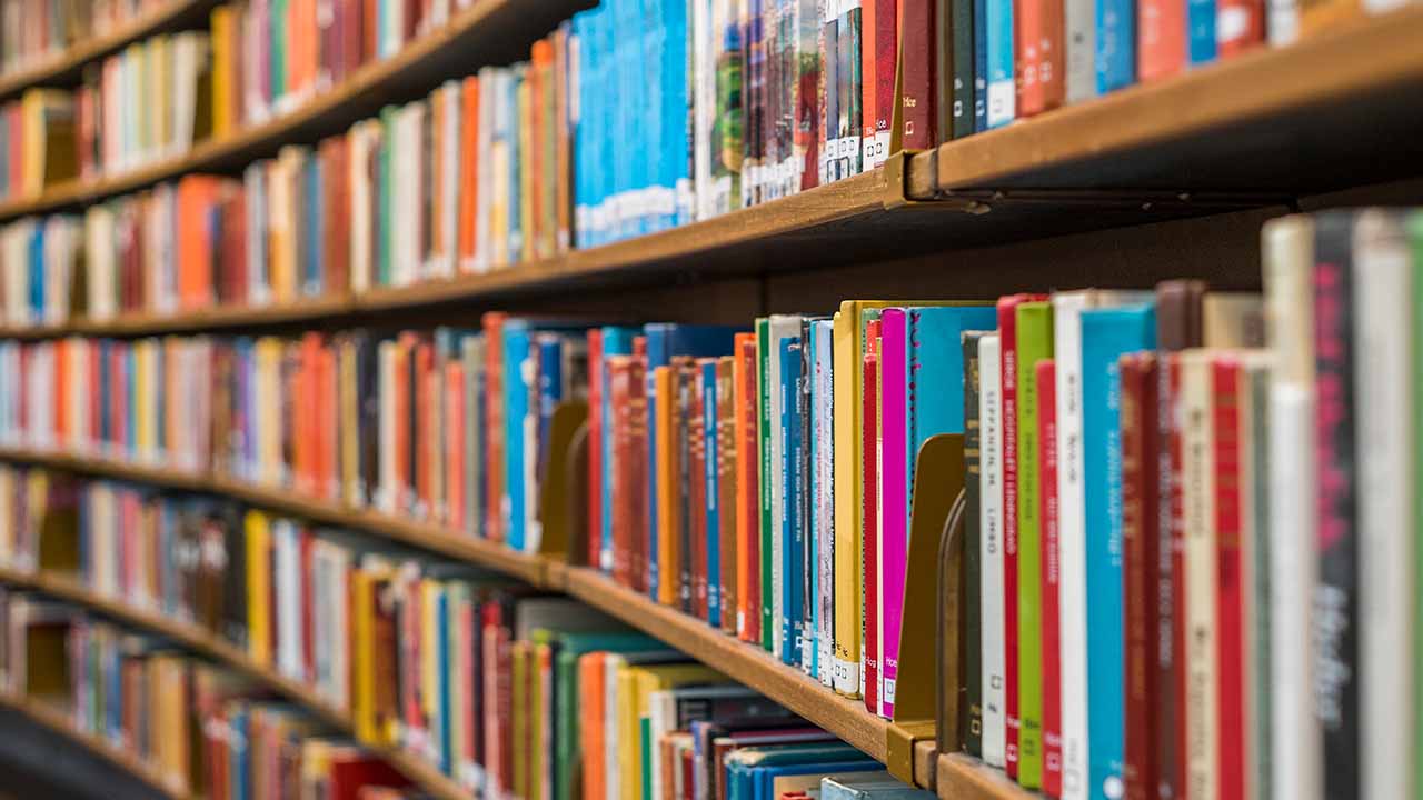 Book corner: Discover the best books from around the world