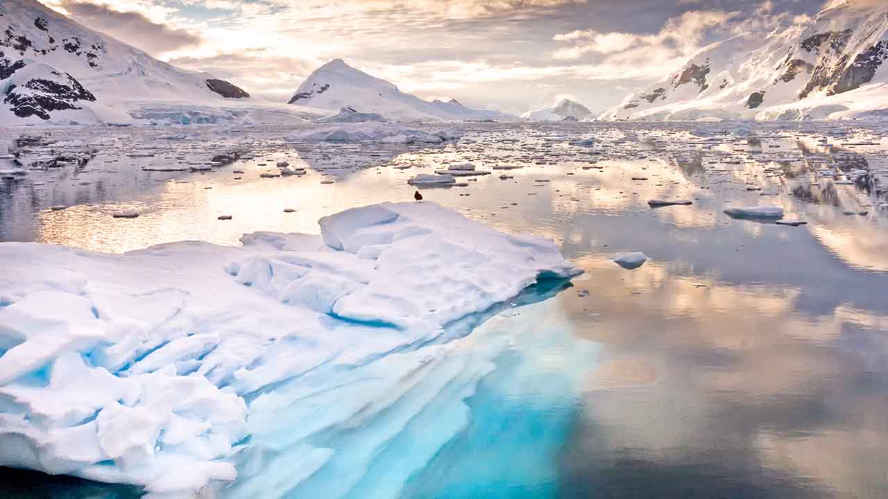  Anatomy of a heatwave: how Antarctica recorded a 20.75°C day last month