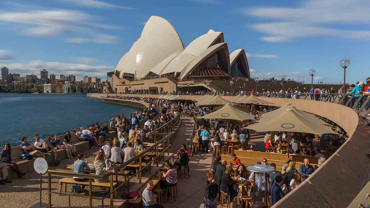 The clever solution the Sydney Opera House is using to get rid of pesky seagulls