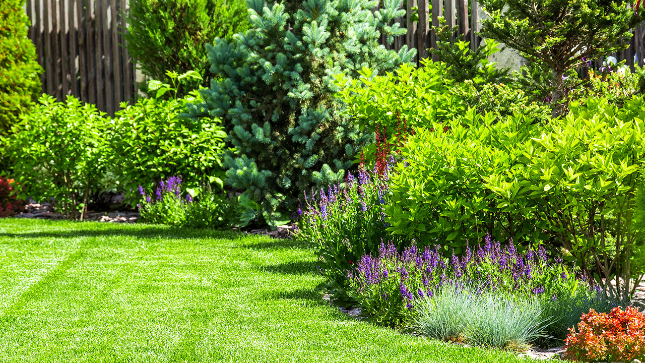 How to create a chemical-free garden