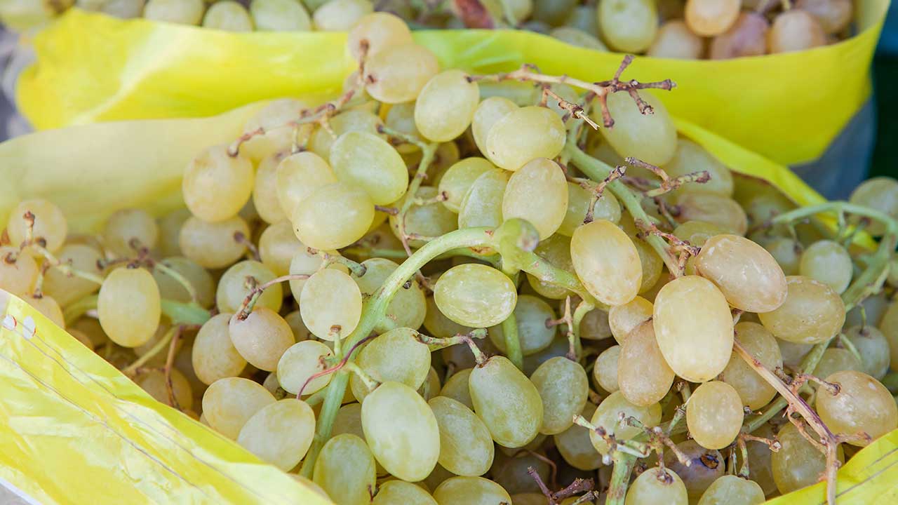 “I could have been bitten”: Grandmother finds deadly spider in ALDI grapes