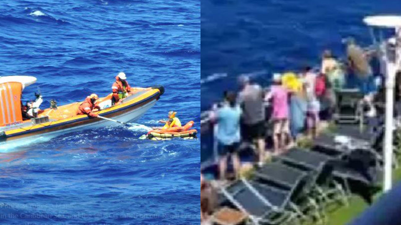 Cruise passengers watch dramatic rescue after plane crashes in sea