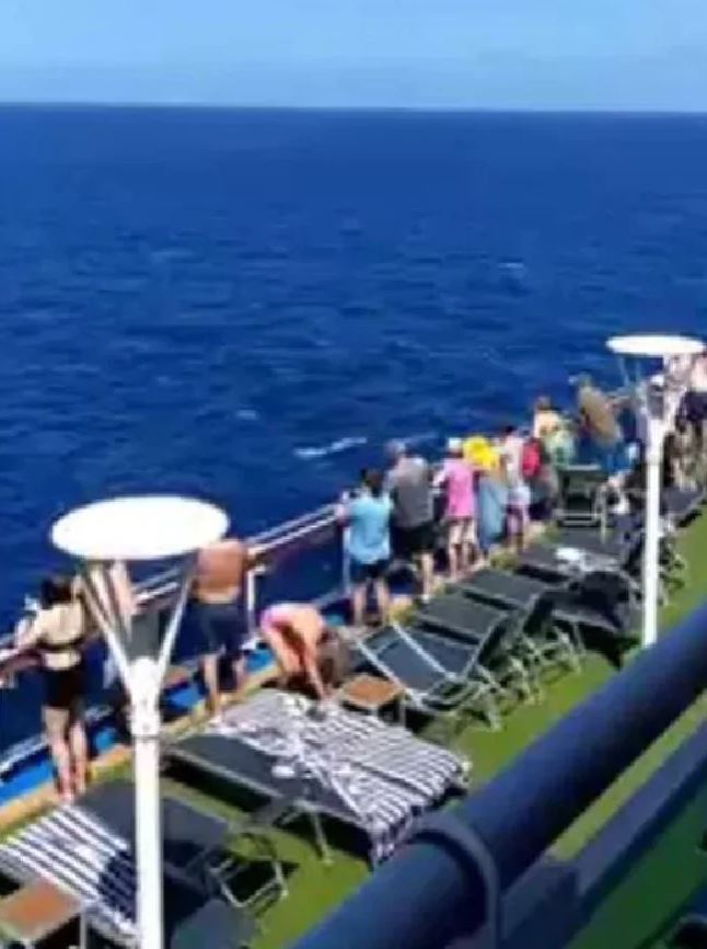 Cruise Passengers Watch Dramatic Rescue After Plane Crashes In Sea ...