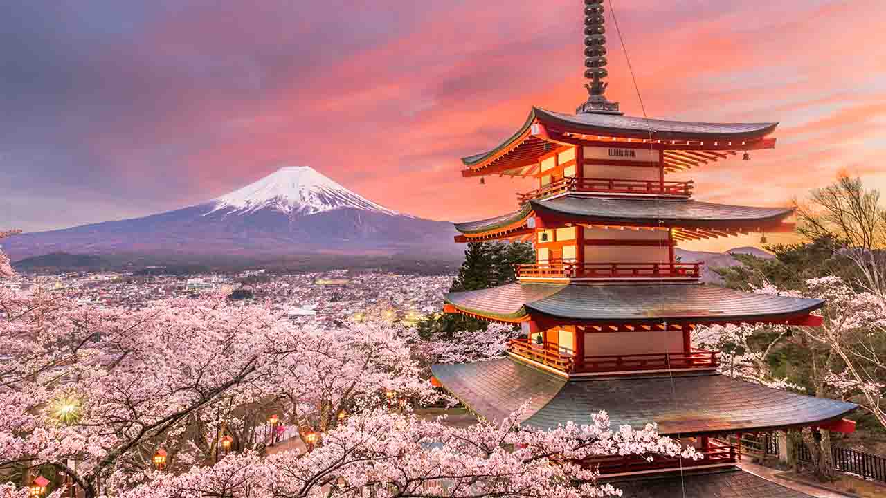Top 5 places to see the world's best cherry blossoms