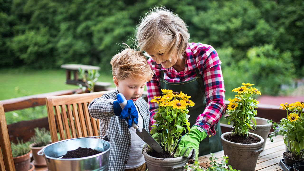 How to get the grandkids involved in gardening