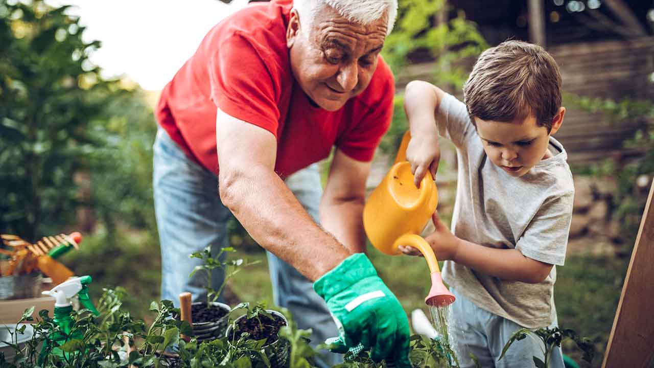 Easy gardening projects you can do with your grandkids
