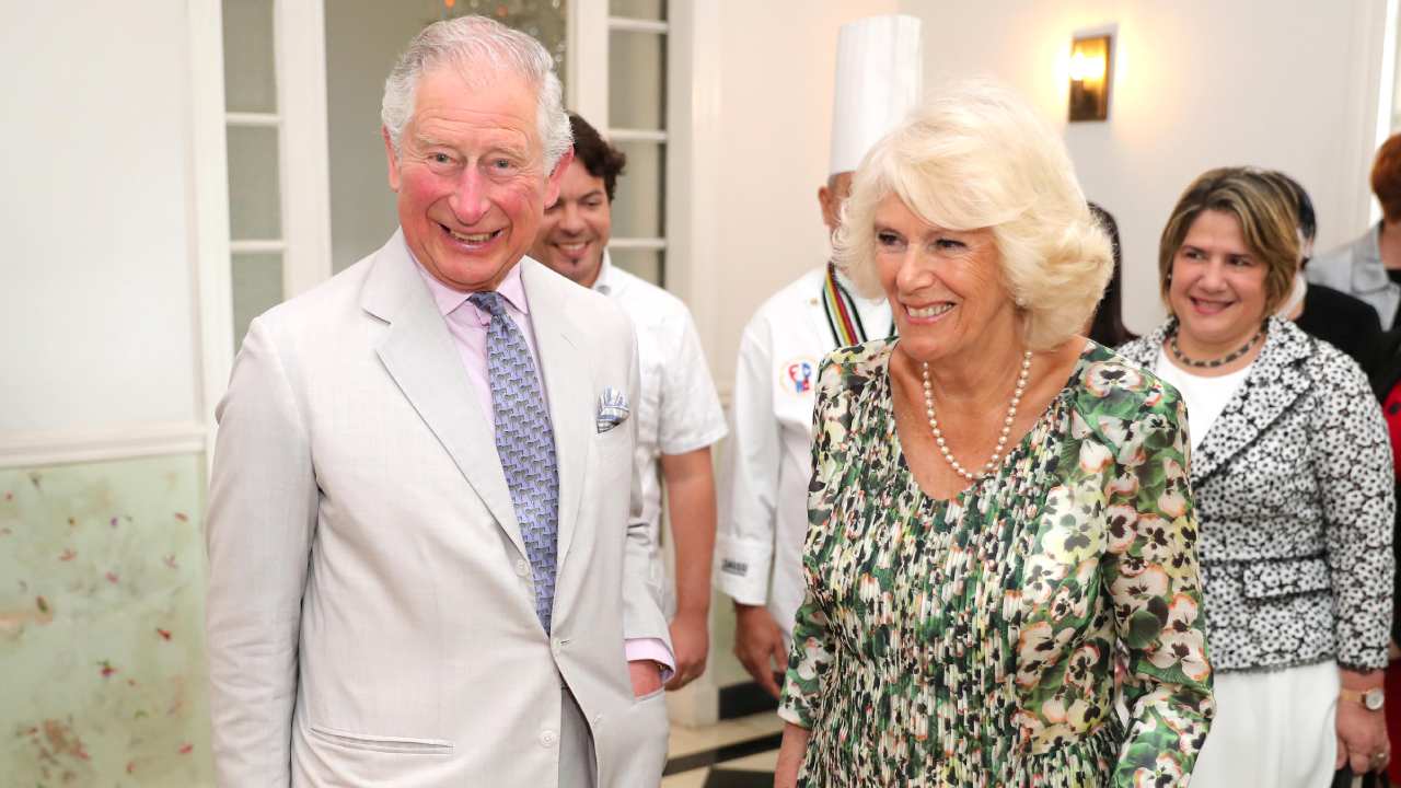 Duchess Camilla reveals rare insight about Prince Harry and Duchess Meghan's baby