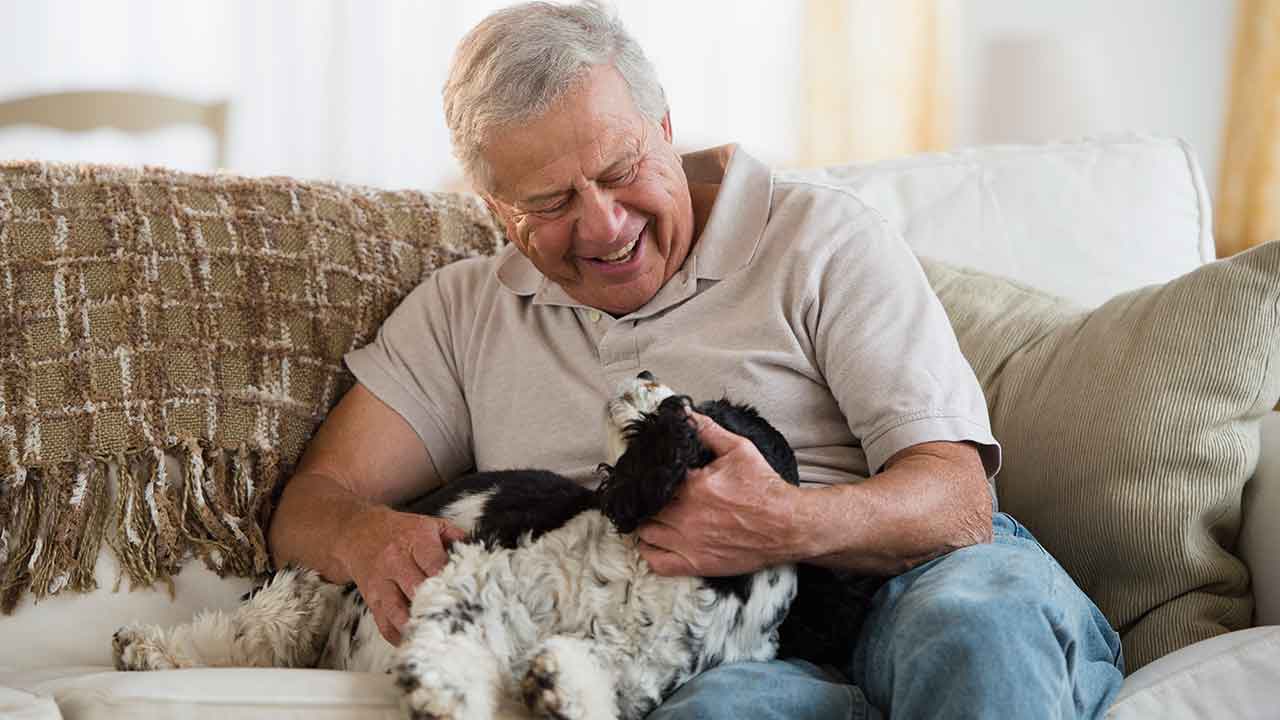 5 fuss-free pet care tips