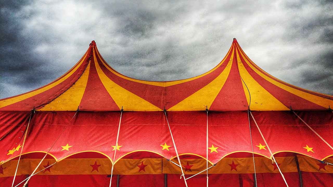 It's never too late: How I ran away with the circus