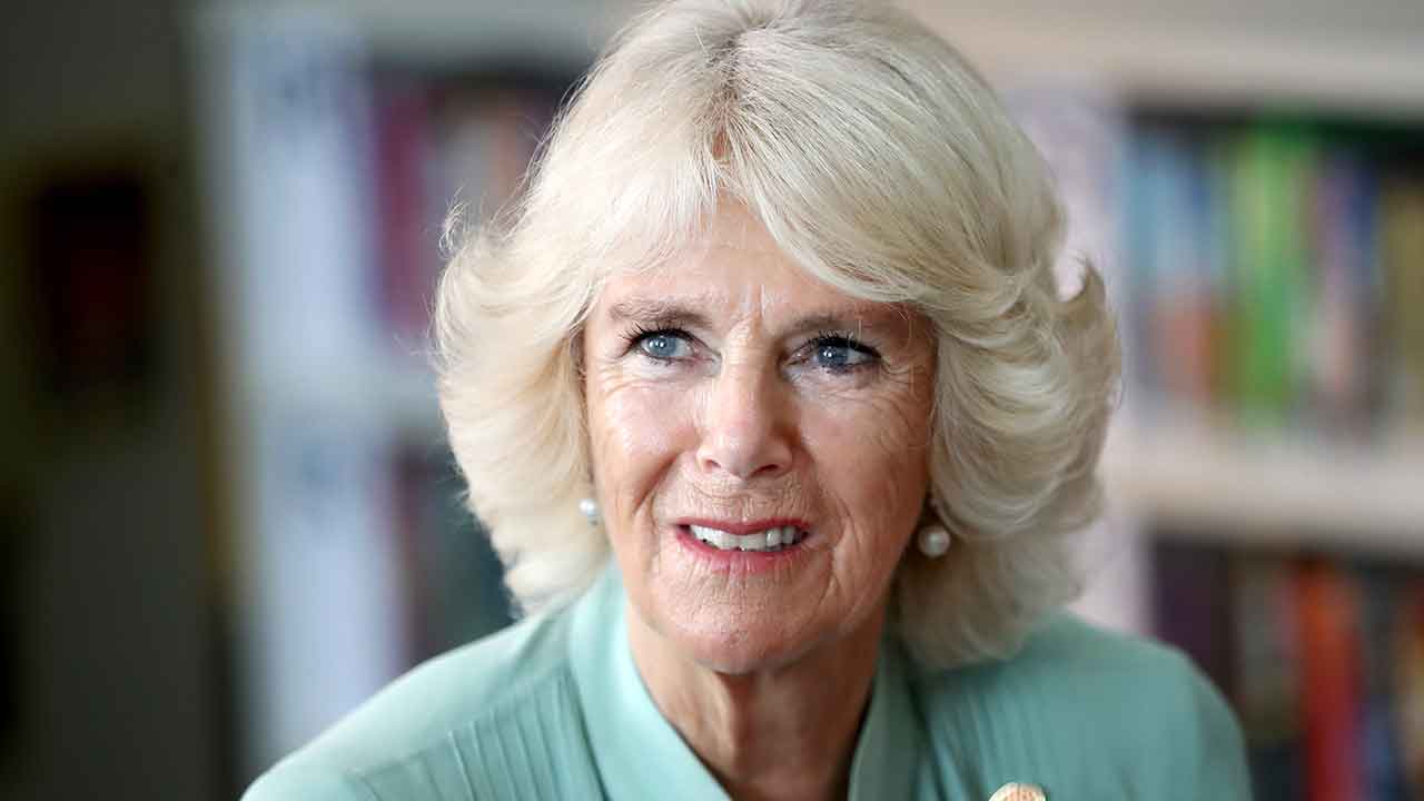 Camilla's redemption: How she revamped her image and won the public's heart