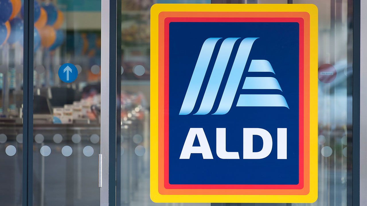 aldi executive backpack