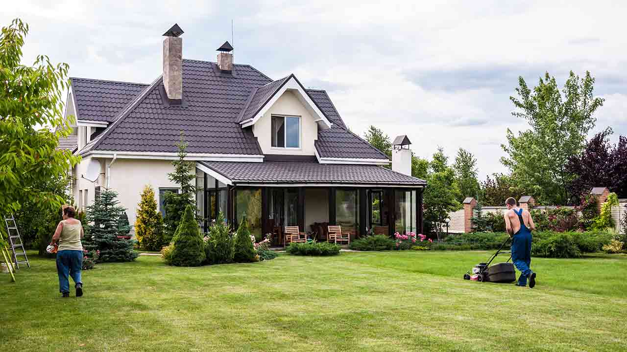 House-sit and see the world on a budget
