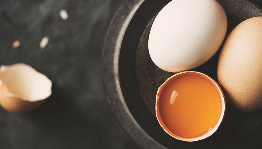 Why do eggs have a yolk?