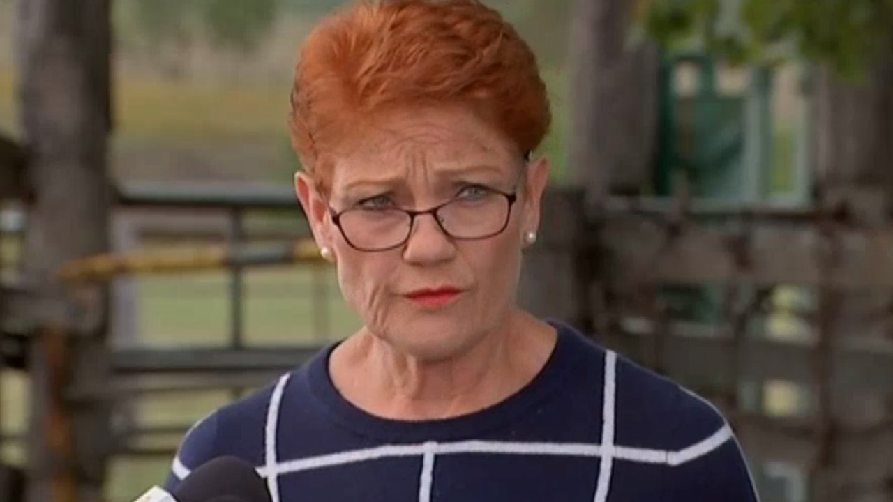 "You're wrong": Angry Pauline Hanson storms off after fiery clash over strip club scandal