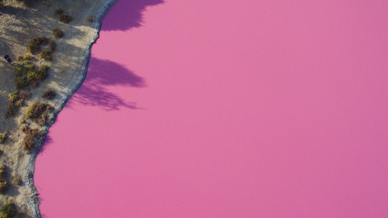 Picture perfect poison: Warning over Melbourne’s bizarre pink lake