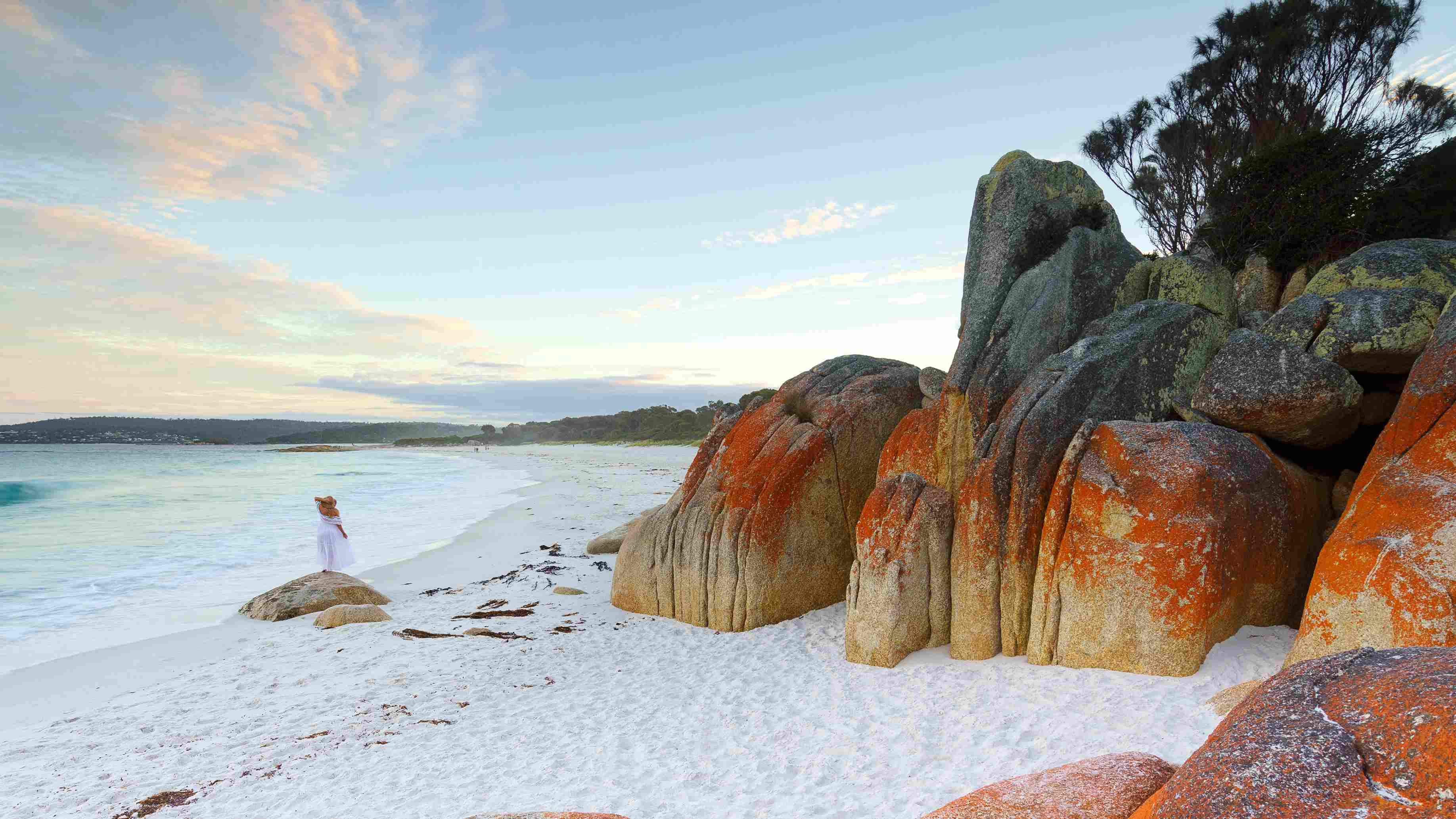 best time to visit tasmania lonely planet