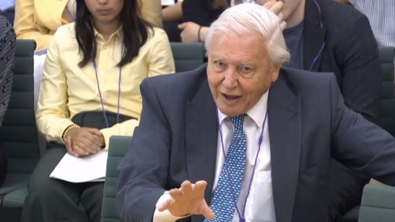 "Extraordinary": Why Sir David Attenborough has just taken aim at Australia