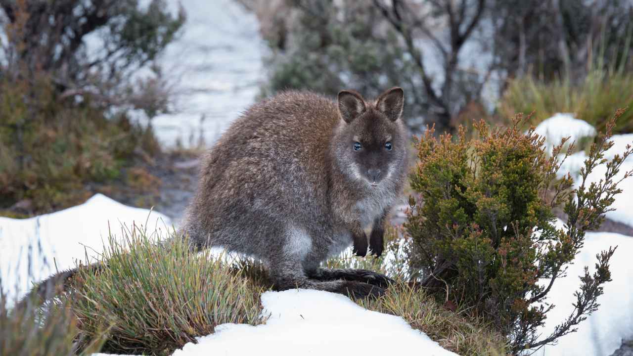 The best places to go to embrace the Aussie winter chill