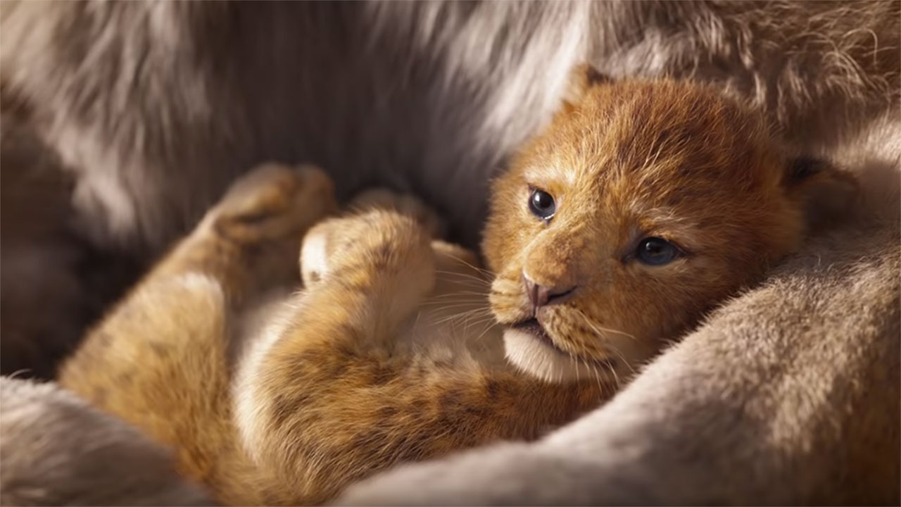 A biologist reveals what he thinks of The Lion King