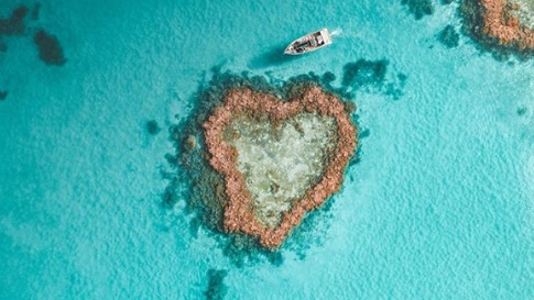 How you can see Australia’s iconic Heart Reef up close and personal